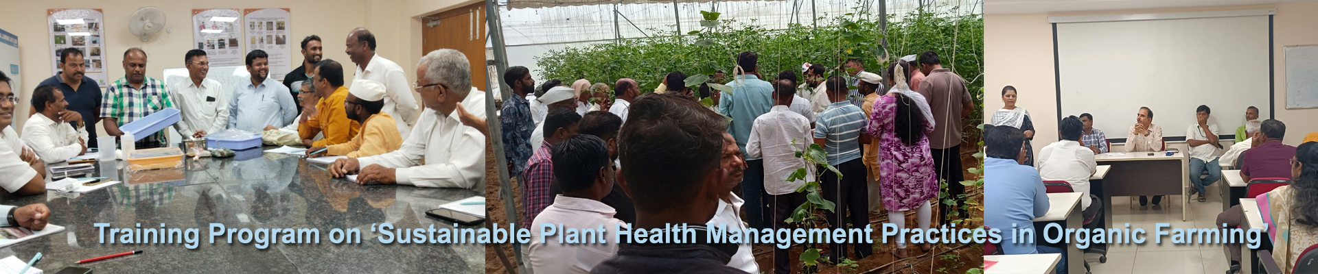 Training Program on Sustainable Plant Health Management Practices in Organic Farming @NIPHM